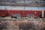 BNSF 781796
